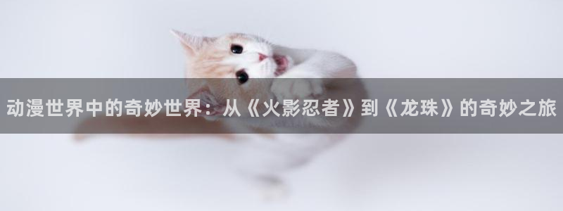 omofun动漫动画：动漫世界中的奇妙世界：从《火影忍者》到《龙珠》的奇妙之旅