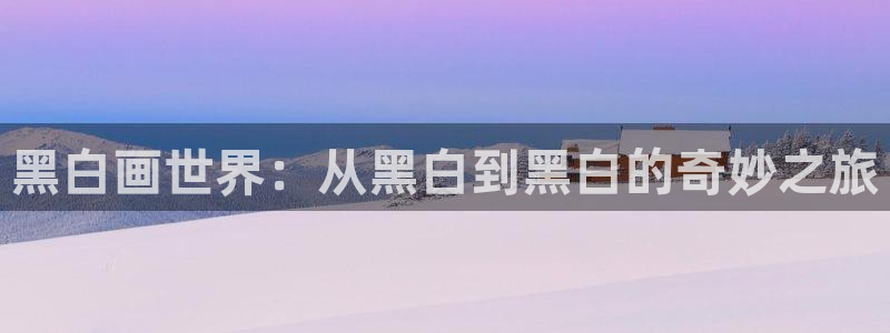 omofun动漫在线看：黑白画世界：从黑白到黑白的奇妙之旅