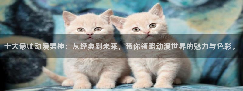 omofun动漫动漫：十大最帅动漫男神：从经典到未来，带你领略动漫世界的魅力与色彩。